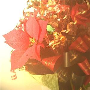 CANDY BOUQUET@IWi@NX}Xc[