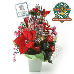 CANDY BOUQUET@IWi@NX}Xc[